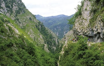 Una de las rutas más conocidas de Asturias, y no es para menos. Este desfiladero abierto en la roca por el arroyo de Las Xanas es un espectáculo para la vista y para la cámara. Comienza en el área recreativa del Molín de Las Xanas, cerca del pueblo de Villanueva, donde encontramos un aparcamiento en el que podemos dejar nuestro coche. Cuando llevamos caminados unos 2 kilómetros, aproximadamente, el entorno cambia por completo y el sendero se adentra en un bosque, donde ya podemos ver las aguas del arroyo de Las Xanas. Llevaremos caminados 3,8 kilómetros cuando ya salimos del bosque y llegamos a un claro; ya estamos casi al final de nuestra ruta. A los pocos metros, justo enfrente, se encuentra Pedroveya, con su hermosa iglesia de San Antonio.