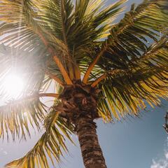 Ola de calor en España: ¿cuáles serán las temperaturas más altas y en qué lugares se alcanzarán?