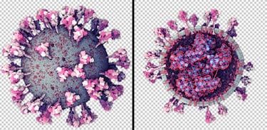Primeras imágenes reales del coronavirus