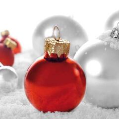 Y en Navidad… Carne silvestre, carne de caza