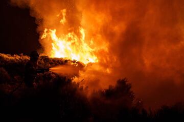 Dos incendios desatados en la provincia de Ávila han provocado la evacuación de los municipios de Riofrío, Sotalbo, Villaviciosa, Palacios y Robledillo, además de quemar 10.000 hectáreas. La situación ha obligado la intervención de la Unidad Militar de Emergencias. 