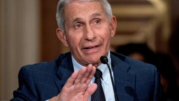 El año pasado, los CDC instaron a los estadounidenses a no reunirse ni viajar en Navidad. ¿Qué pasará este año? ¿Qué ha dicho el Dr. Fauci al respecto?