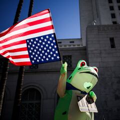 The frog costume that’s guaranteed to be a Halloween hit - Thanks to becoming a symbol of resistance
