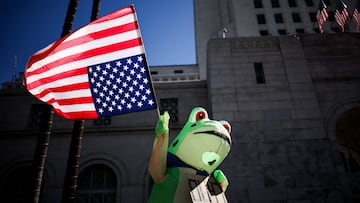 Protesters took to wearing frog costumes, dressing up as hippos and other animals during this weekend’s “No Kings” protests across the US.