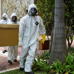 La COVID-19 provoca la muerte entre 2 y 8 semanas