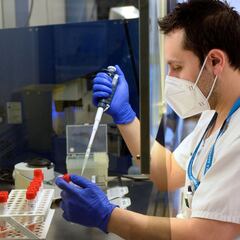 La cepa sudafricana llega a España