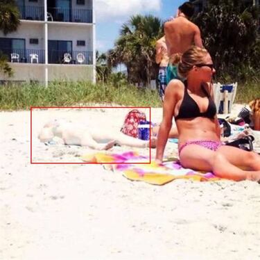 Reto visual: ¿Cuántas mujeres ves tomando el sol en esta foto?