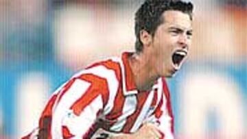 "Espero que Fernando Torres vaya a la próxima Eurocopa