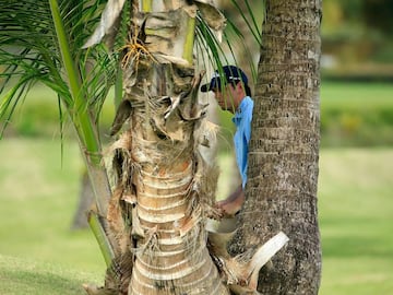 El golfista J.T. Poston durante la ronda final del Open de #PuertoRico de #golf. Foto: Michael Cohen/Getty Images #JTPoston #OpenPuertoRico #PuertoRicoOpen #CocoBeach
 RIO GRANDE, PUERTO RICO - MARCH 26: J.T. Poston plays a shot from the rough during the final round of the Puerto Rico Open at Coco Beach on March 26, 2017 in Rio Grande, Puerto Rico.   Michael Cohen/Getty Images/AFP
 == FOR NEWSPAPERS, INTERNET, TELCOS &amp; TELEVISION USE ONLY ==