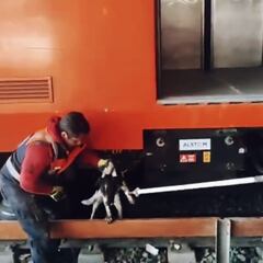 Así fue el rescate de un perro de las vías del Metro de la CDMX en la Línea A