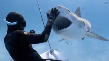 Dante Weston parando a un tiburón tigre por el morro con la mano, mientras este abre la boca y le enseña los dientes sin hacerle nada. En Bahamas. Capturado por Szilárd Jankó.