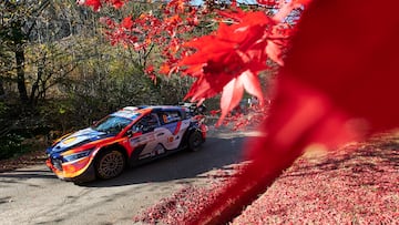 Rally Japón