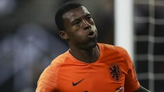 Wijnaldum: Liverpool star vows to walk off pitch if abused