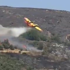 Watch: Firefighting plane crashes in Greece