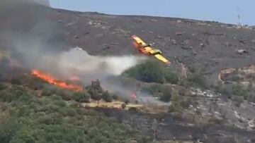 A plane in Greece was working to put out one of the many wildfires on the island of Evia when it crashed into the ground, immediately bursting into flames.
