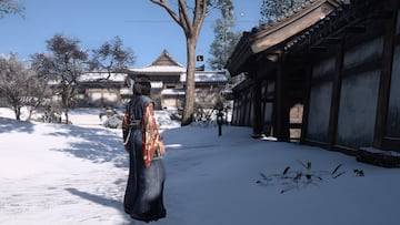 Assassin's Creed Shadows, Switch 2