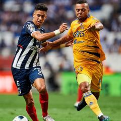 Tigres - Monterrey: TV, Horario, canal; cómo y dónde ver la Liga MX