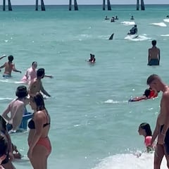 VIDEO: panic ensues after shark appears in crowded Miami waters