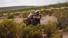 Dakar 2018 - Etapa 10: Casale, Quintanilla y Cornejo lideran