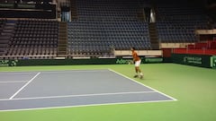 Novak Djokovic gunning for Spain in absence of Rafa Nadal