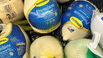 FILE PHOTO: Frozen turkeys displayed at a supermarket ahead of the Thanksgiving holiday in Chicago, Illinois, U.S. November 22, 2022. REUTERS/Jim Vondruska/File Photo