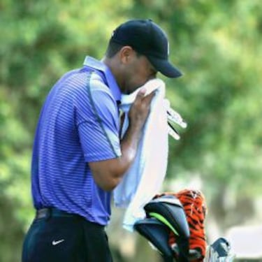 Lindsey-Tiger: cara y cruz en sus regresos a la competición