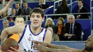 <strong>NIKOLA MIROTIC.</strong>