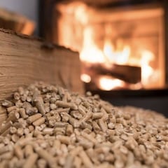 Bono Calefacción 2023: requisitos, fechas de pago y cómo recibir este año los $100 mil pesos