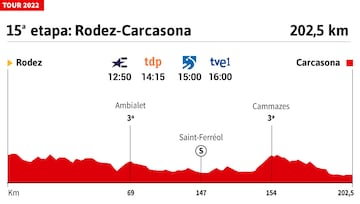 Perfil de la 15ª etapa del Tour de Francia.