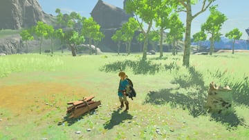 Captura de pantalla - zelda_22.png