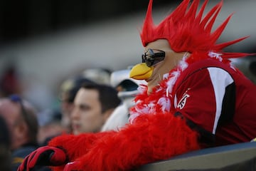 Seguimos con famosos en los estadios, y ahora es el turno del mítico Gallo Claudio, fan de los Falcons de los de toda la vida. Aunque no salen en la foto, iba acompañado de sus grandes amistades el gallo Kiriko y la gallina Caponata. A la gallina de los huevos de oro no la sacan de casa por si la secuestran.