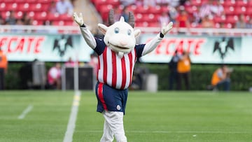 Las mascotas de los 18 equipos de la Liga MX