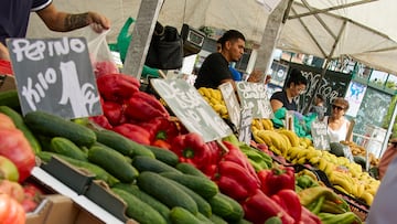 Un puesto de frutas y verduras en el mercadillo de Plaza Elíptica, a 29 de agosto de 2024, en Madrid (España). El Índice de Precios de Consumo (IPC) se estancó agosto en relación al mes anterior pero recortó seis décimas su tasa interanual, hasta el 2,2 %, su cifra más baja desde junio de 2023, cuando se sitúo en el 1,9 %, según datos del Instituto Nacional de Estadística (INE). Esta moderación del IPC se debe al abaratamiento de los carburantes que subieron en agosto de 2023, y en menor medida, al menor coste de los alimentos, que este mes han bajado los precios.
29 AGOSTO 2024;IPC;ALIMENTOS;GASOLINA;CONSUMO;GASTOS;ALIMENTOS
Jesús Hellín / Europa Press
29/08/2024