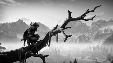 Captura de pantalla - horizon-modo-foto-005.jpg