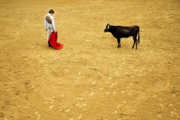 El artista, Nikolai Linares Larsen, se interesó por la formación de los niños que desean ser toreros y,  a través de este reportaje realizado en Almería, explica las dificultades y esfuerzos de dichos jóvenes.