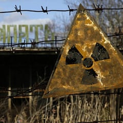 Aparece un hongo negro en la zona de exclusión de Chernóbil con una habilidad nunca vista: prospera pese a la radiación ionizante