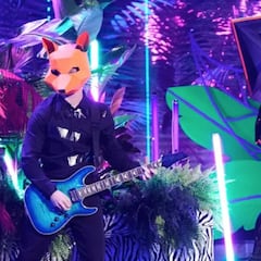 Mask Singer: Tony Hawk fue la Georgina Rodríguez de los Estados Unidos