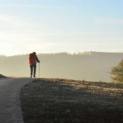 Guía para hacer el Camino de Santiago y no morir en el intento