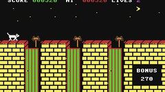 Imágenes de Alley Cat