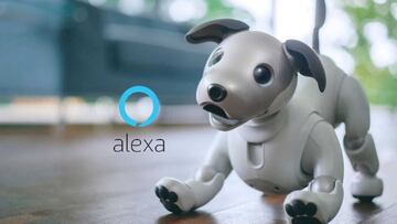Cómo hacer que un Amazon Echo ladre como un perro: Alexa Guard