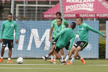 El equipo de Juan Carlos Osorio recibió un duro golpe en la pasada fecha de la Liga Águila al caer ante Cúcuta en su casa, por lo que el duelo con Pasto es el gran objetivo del equipo que quiere seguir sumando de a tres puntos en la tabla. 