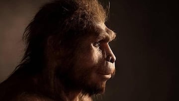 Despite the existence of just one species today, Homo sapiens, investigations at ancient sites may uncover a new species.