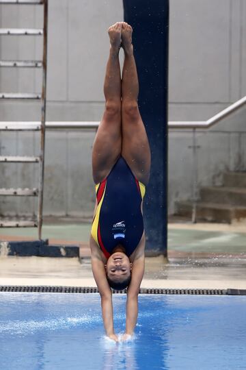 Entrenamientos en la Liga de Natación de Antioquia para el Campeonato Sudamericano en Argentina.