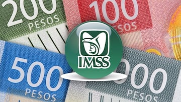 Pensión IMSS e ISSSTE 2022: ¿Cuándo se realizarán los depósitos de junio?