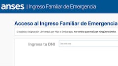 Bono ANSES: cuál es la web y cómo consultar si soy beneficiario del aporte