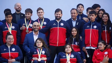 Juegos Paralímpicos de París 2024: ¿cuántos deportistas chilenos participan en esta edición?