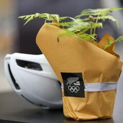 ¿Desde cuándo es obligatorio ir con casco en las carreras de ciclismo?