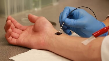 A un paso de ser inmortales: este nanochip hace crecer células humanas