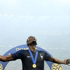 La felicitación de Ibrahimovic a Paul Pogba y Francia