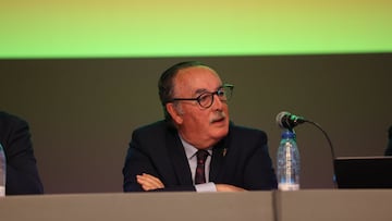 Alfredo de Miguel, durante la Junta de Accionistas del Mirandés.